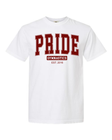 Pride Block T-Shirts- White/Cardinal