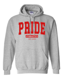 Pride Block Grey Hoodies