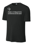 Pride Dri Fit T-Shirts